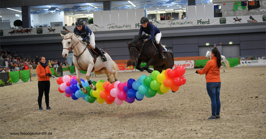 馬展，德國馬展，馬匹比賽